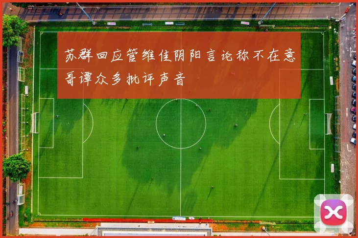 苏群回应管维佳阴阳言论称不在意哥谭众多批评声音